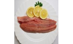 Fish Farm Clarias - Clarias Fillet - Skinless