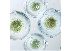 Uniproma - Model BotaniExoTM  - Crithmum Maritimum (Exosome) / Crithmum Maritimum Callus Culture Filtrate