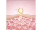 Uniproma - Model Arelastin P / Elastin - Crucial Functional Protein