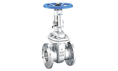 Oilong - Model API 603 - Corrosion Resistant Cast Steel Gate Valve