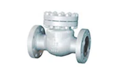 Oilong - Model API 6D / BS 1868 -  Swing Check Valve