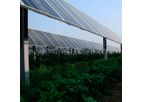 Synergy Service with Existing Crops