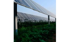 Synergy Service with Existing Crops