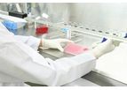 Non-GLP Viral Clearance Study Service