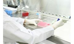 Non-GLP Viral Clearance Study Service
