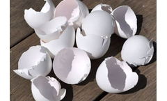 Caltron Clays -  Egg Shell Calcium Powder