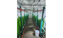 Hydralife - Custom Phytoplankton Production