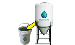 Hydralife - 50 Gallons Bulk Beneficial Phytoplankton