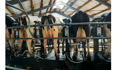Rural Electrical Services
