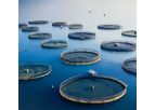 Marintel - Comprehensive Fish Farm Monitoring System