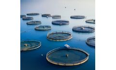 Marintel - Comprehensive Fish Farm Monitoring System