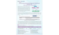 Human Endometrial Cancer Molecular Classification Detection Kit Flyer