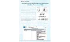 Thyroid Carcinoma RET Gene Fusions Detection Kit Flyer