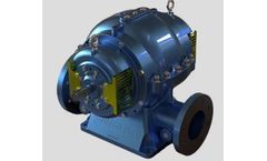 United Flo - Horizontal Split Case Clean Water Pump