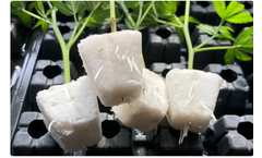 Solution for Commercial Agriculture, Sod Nurseries, Horticulture and Hydroponics