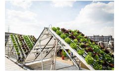 Solution for Vertical Gardens