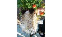 FytoBooster - Soilless Horticulture Substrate Flakes