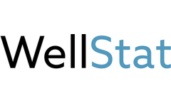 WellStat - Budgets & Variance Reporting Software