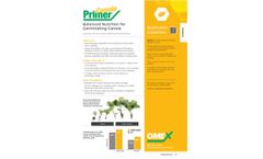 Balanced Nutrition for Germinating Canola - Brochure