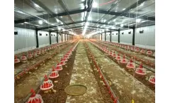 Richfarming - Broiler Poultry Farming Equipment