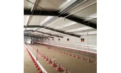 Richfarming - One Stop Prefabricated Poultry Farm House