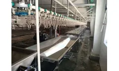 Richfarming - Auto Chicken Slaughter Line Technology