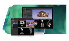 Asteris - 3D Volume Rendering Software for the Next Era of Veterinary Care