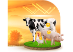 Nuproxa C-Power - Natural Antioxidant Supplement for Animal Nutrition