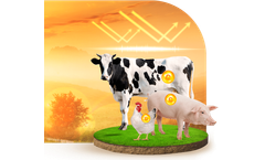 Nuproxa C-Power - Natural Antioxidant Supplement for Animal Nutrition
