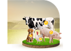 Nuproxa Herbal-E - Natural Vitamin E for Animal Nutrition