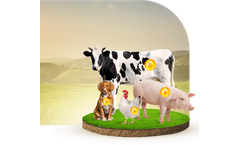 Nuproxa Herbal-E - Natural Vitamin E for Animal Nutrition