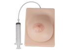 Ultrassist - Bilateral Silicone Breast Model for Milk Expression Training