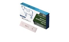 Chimertech - Bovine Brucella Antibody Rapid Test Kit [1 Test ]