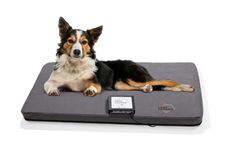 Zomedica Assisi LOOP - Lounge for Full-Body tPEMF Therapy Pad
