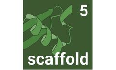 Proteome Software - Version Scaffold 5 - Data-dependent Acquisition (DDA) MS/MS Proteomics Tool