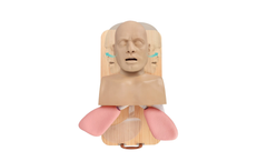 Mededuquest - Model MEQ04012 - Advanced Adult Intubation Manikin with Full Airway Management System