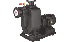 Yongli - Model ZW - Submersible Electric Pump