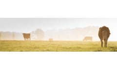 Gas analyzers and monitoring systems for greenhouse gases from ruminants