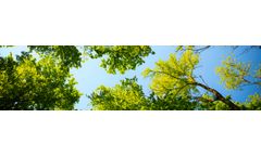 Gas analyzers and monitoring systems for carbon capture & storage (CCS)