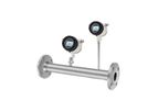 Metlan Instruments - Model MT211x-Ex - Insertion Explosion-proof Thermal Mass Flow Meter