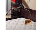 Bedbugs Control Services