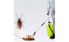 Cockroach Control Services