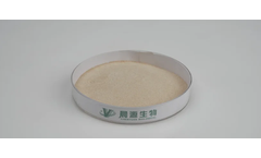 Chenyuan - Bacillus Subtilis