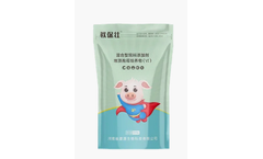 Chenyuan - Jiaobao Zhuang for Piglet