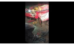 T.D.A 3050 Pumpkin Seed Machine - Video - 5