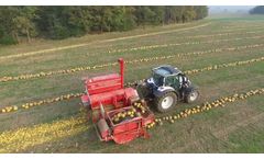 T.D.A 3050 Pumpkin Seed Machine - Video - 1