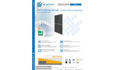 Leapton - Model LP210 210 M66 NB - N-type TOPCon Dual Glass Bifacial Modules - Brochure