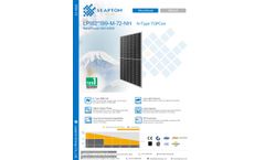 Leapton Energy - Model LP182 199 M72 NH - NType TOPCon Monofacial Solar Panel - Brochure