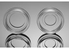 NEST - Cell Culture Dishes- Glass Bottom