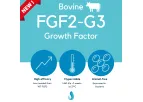 Defined Bioscience - Model FGF2 - Growth Factor for Stem Cell Cultures